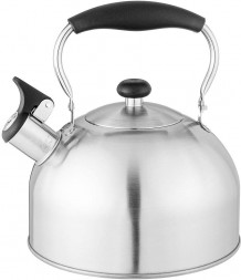 Чайник AGNESS 937-904 2,5л индукция