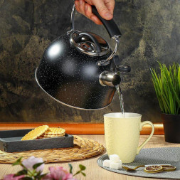 Чайник DANIKS PR-2205 (429630) 2.7 л