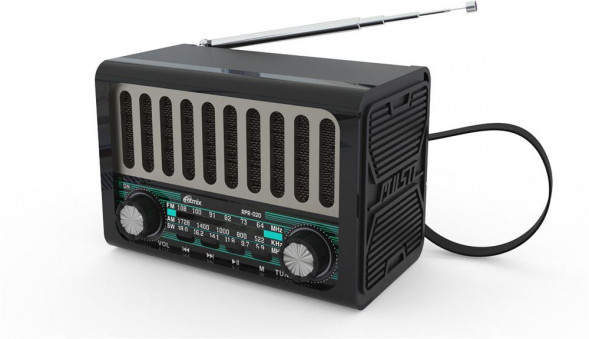 RITMIX RPR-020