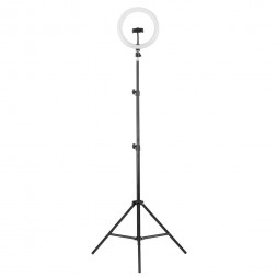 Кольцевая лампа CAMELION (13010) KD-810F C02 (LED свет-к кольцев. 10 Вт, подставка для смартфона, напольн.на штативе)